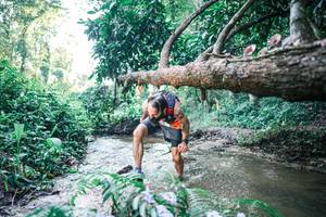 BIB: 
                            <button type="button" onclick="openModal(25430803)" class="btn btn-primary btn-sm float-right btn-popup" data-toggle="modal" data-target=".modal-high-quality">
                        <i class="fas fa-shopping-cart"></i> Add to Cart
                    </button>
                                            <button type="button" onclick="isThisMe(25430803, true)" class="btn btn-success btn-sm float-right btn-popup btn-isme hidden" data-toggle="tooltip" data-placement="bottom" title="นี่คือรูปของคุณใช่ไหม คลิกที่นี่เพื่อเอาเข้าอัลบั้ม">
                        <i class="fas fa-plus"></i> Add to album
                    </button>
                    <button type="button" onclick="isThisMe(25430803, false)" class="btn btn-warning btn-sm float-right btn-popup btn-isnotme hidden">
                        <i class="fas fa-ban"></i> Remove from album
                    </button>